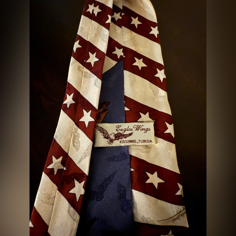 Vintage Eagle’s Wings American Flag Silk Tie | Patriotic Bald Eagle Neck Tie - Picture 3 of 4